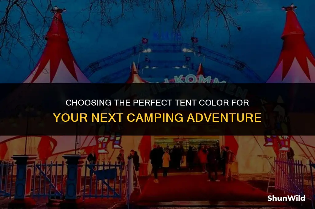 which color for camping tent