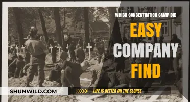 Easy Company's Liberation: Discovering the Concentration Camp They Found