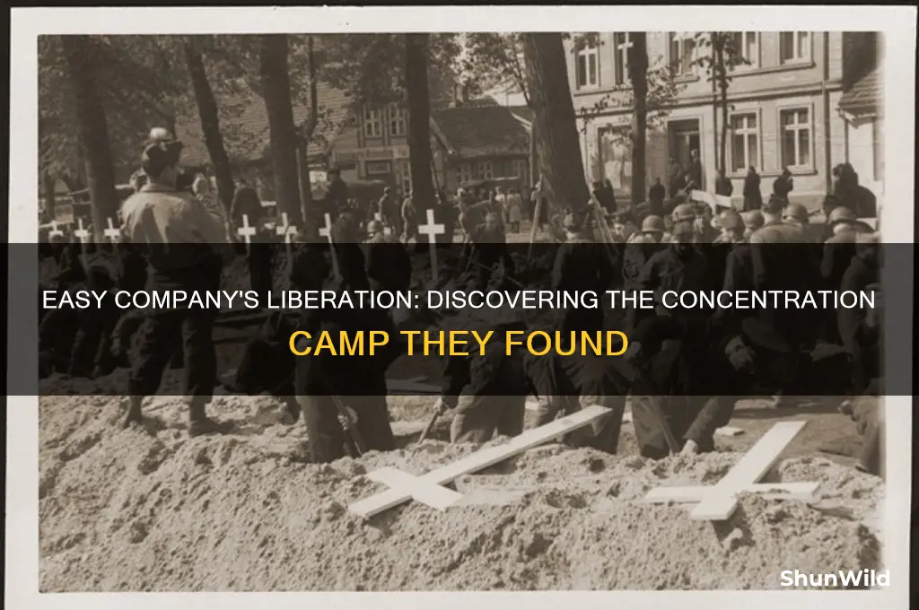 which concentration camp did easy company find