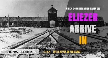 Eliezer's Arrival: Unveiling the Concentration Camp He Entered