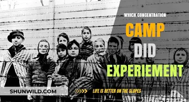 Nazi Medical Experiments: The Horrors of Concentration Camps Revealed