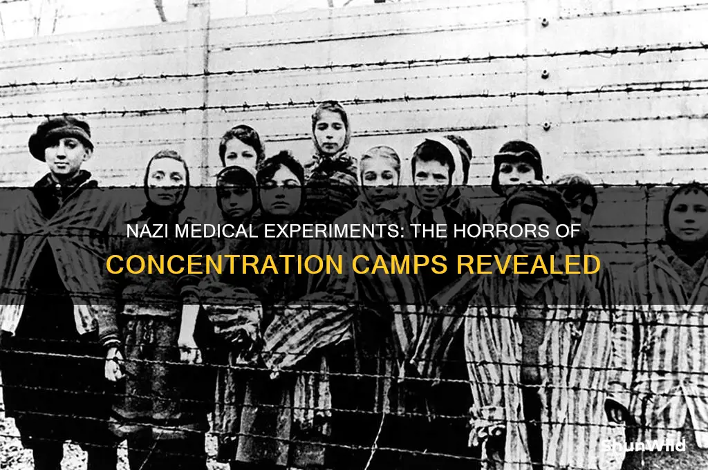 which concentration camp did experiements