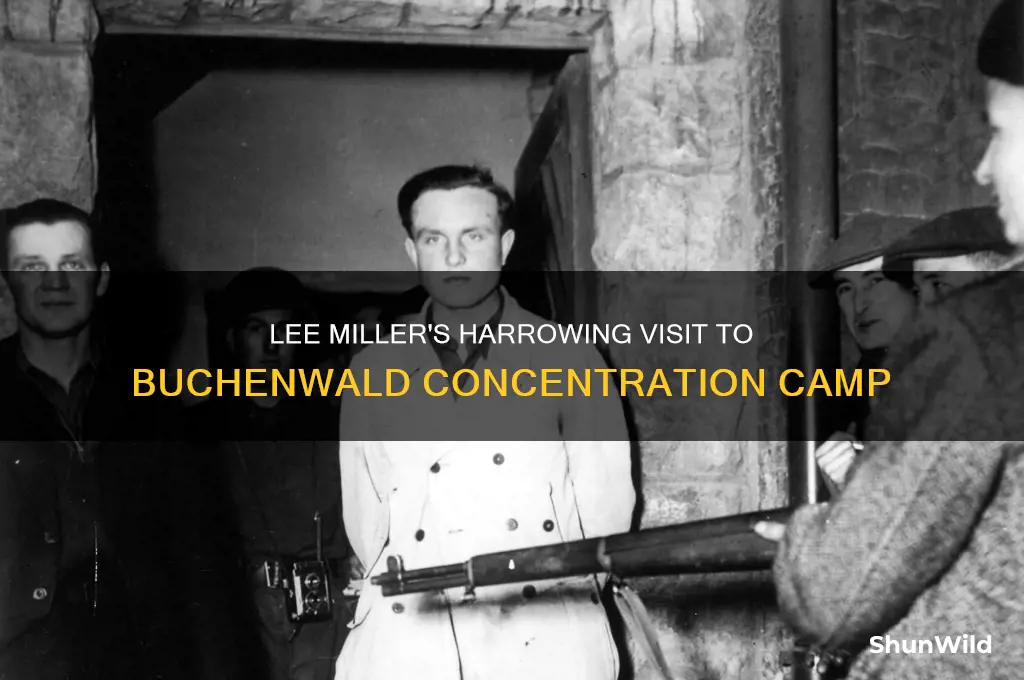 which concentration camp did lee miller go to