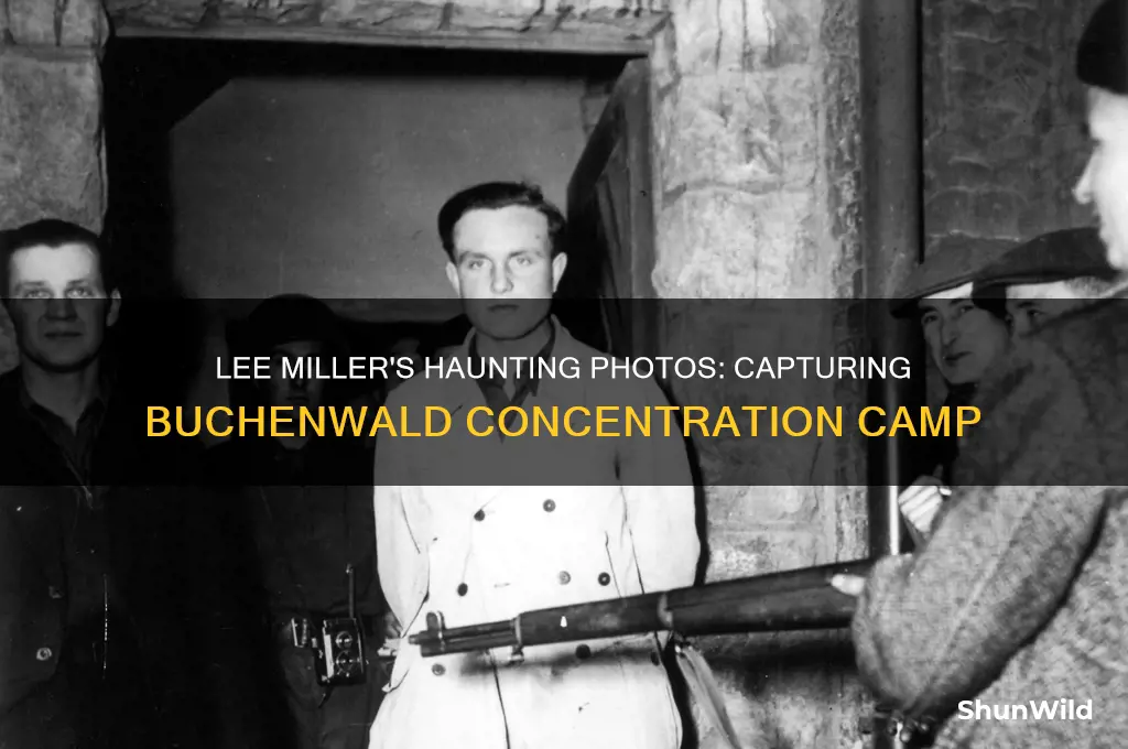 which concentration camp did lee miller photograph