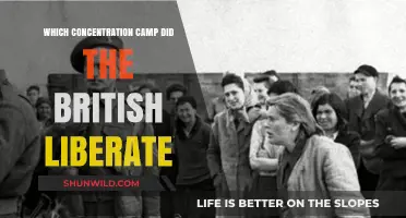British Liberation of Bergen-Belsen: A Historic WWII Camp Freedom