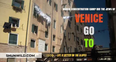 Venice's Jewish Community: Their Fate in Nazi Concentration Camps