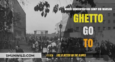 Warsaw Ghetto Survivors: Their Journey to Treblinka Concentration Camp