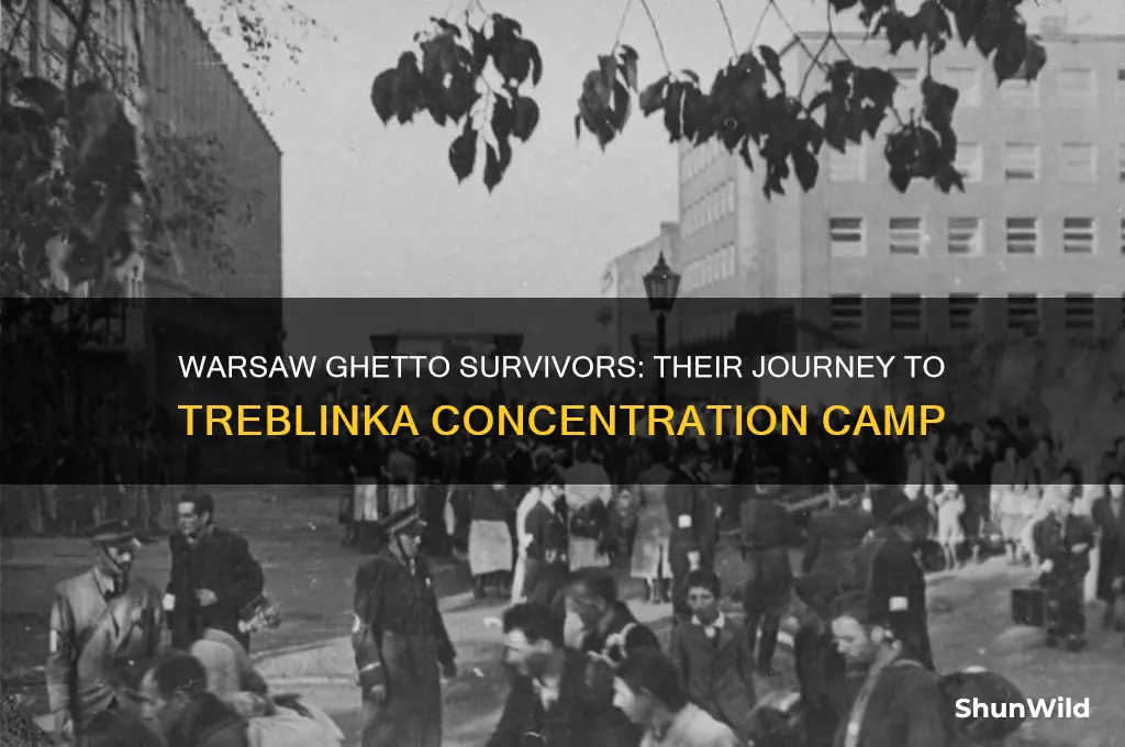 which concentration camp did warsaw ghetto go to