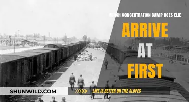 Elie Wiesel's First Concentration Camp: A Harrowing Arrival at Auschwitz