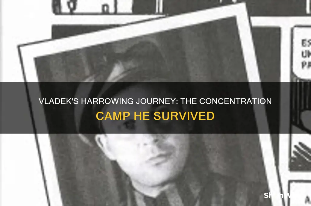 which concentration camp does vladek end up in