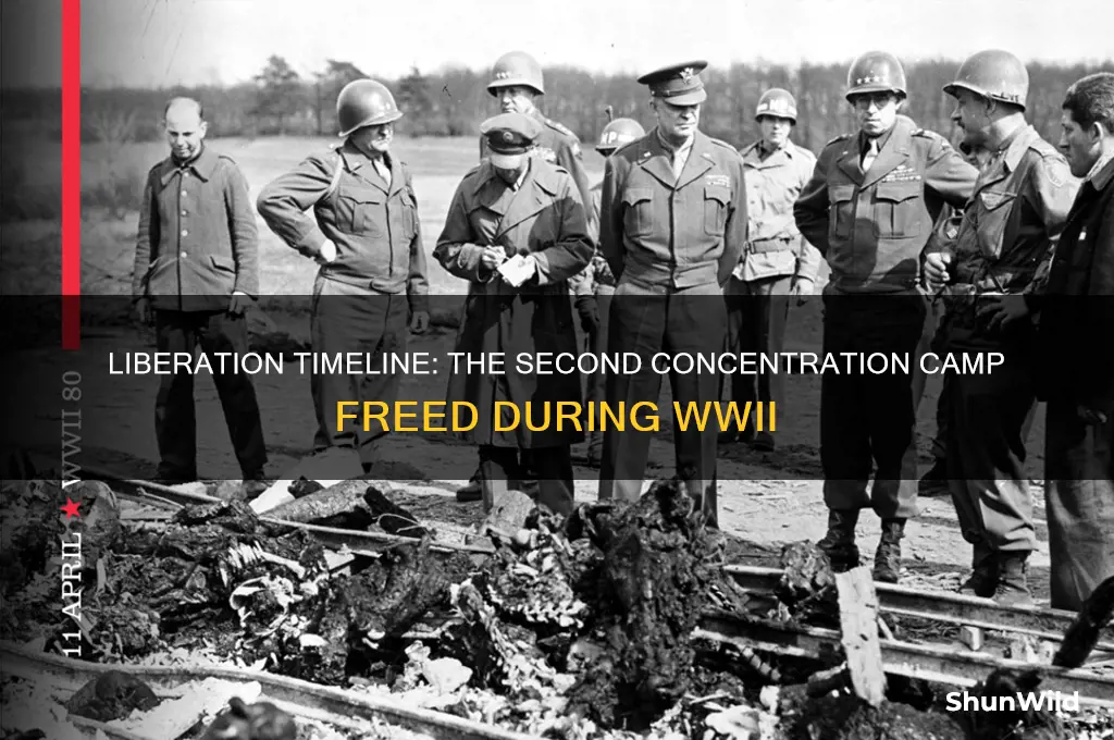 which concentration camp get liberated second