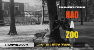 The Haunting Truth: A Concentration Camp's Zoo Uncovered