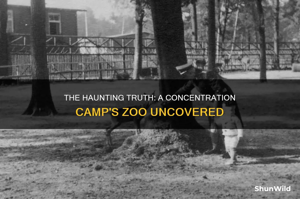 which concentration camp had a zoo