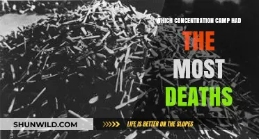 Auschwitz: The Deadliest Nazi Concentration Camp in History