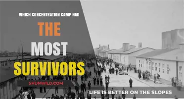 Survivors of the Holocaust: Which Camp Had the Most?
