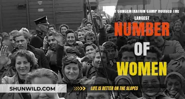 Largest Women's Concentration Camp: Ravensbrück's Dark History Revealed