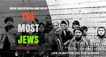 Auschwitz: The Deadliest Nazi Concentration Camp for Jewish Victims