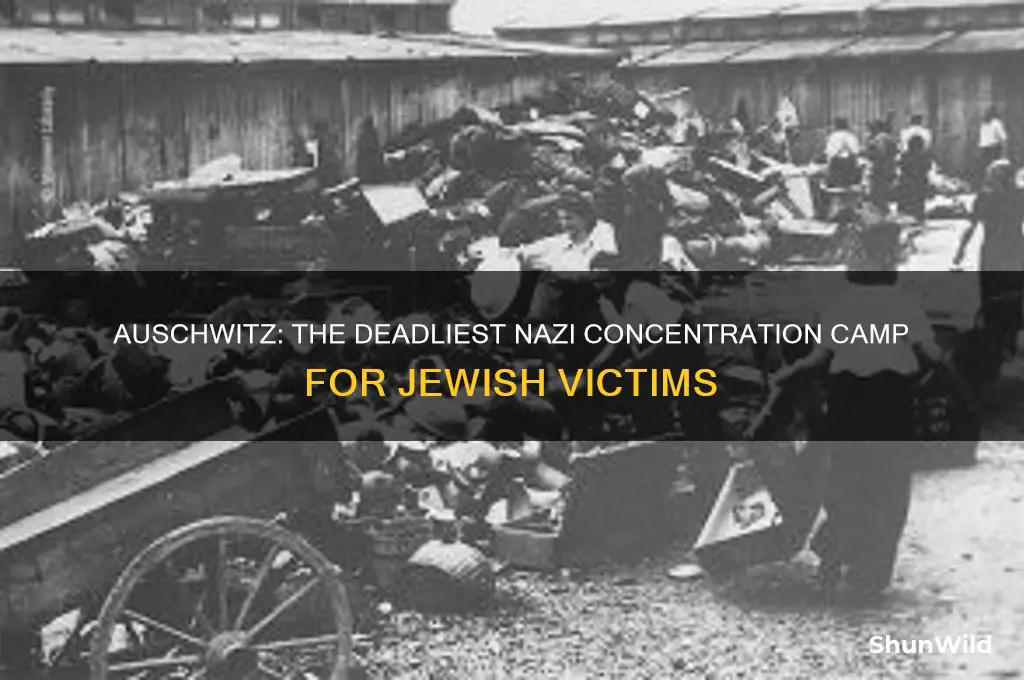 which concentration camp killed the most jews