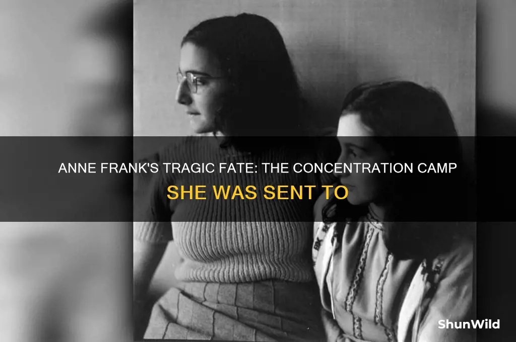 which concentration camp was ann frank sent to