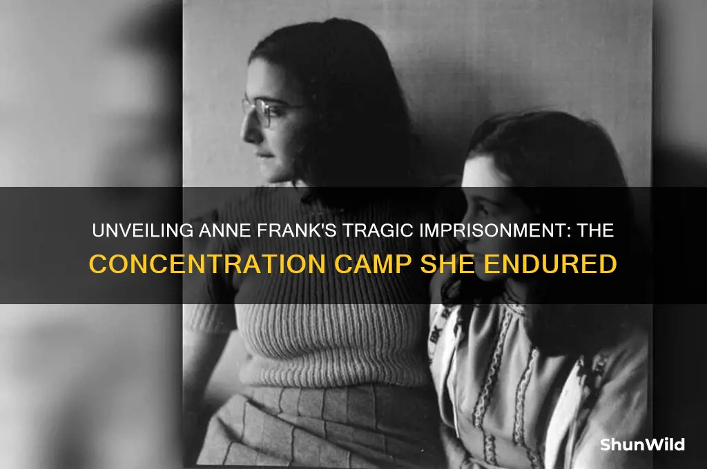 which concentration camp was ann in