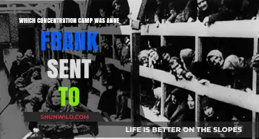 Anne Frank's Fate: The Concentration Camp She Was Sent To