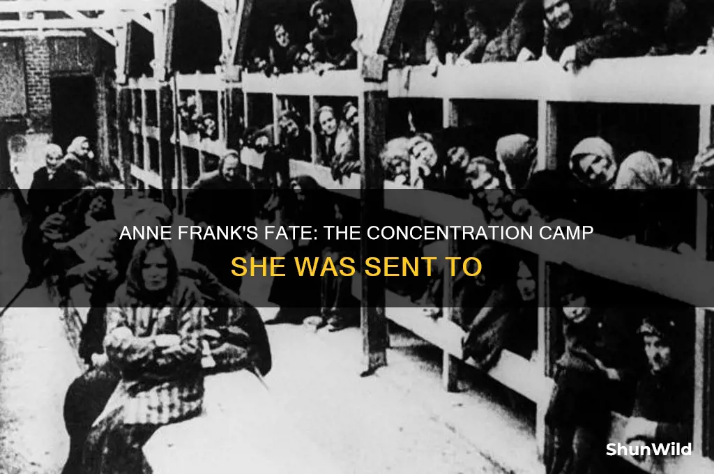 which concentration camp was anne frank sent to