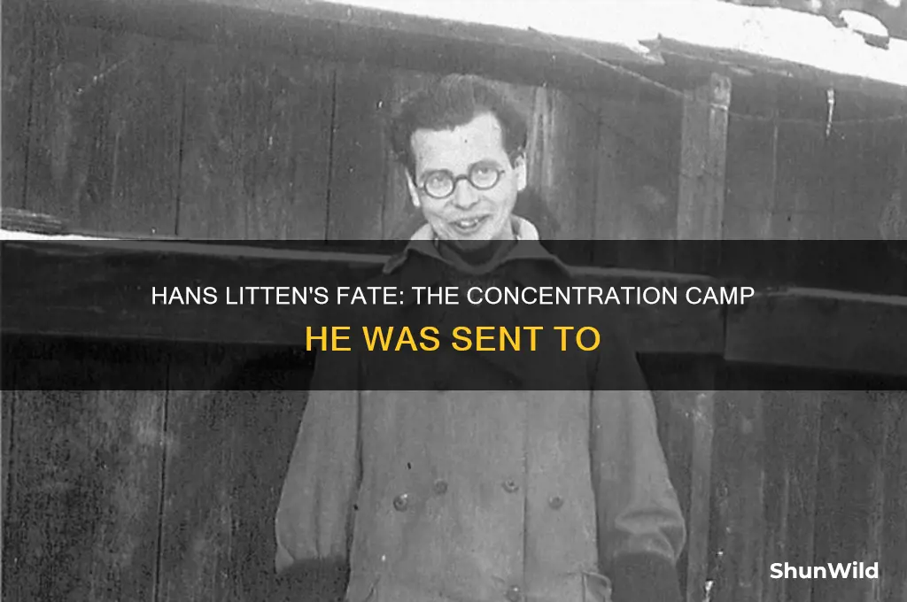 which concentration camp was hans litten sent to