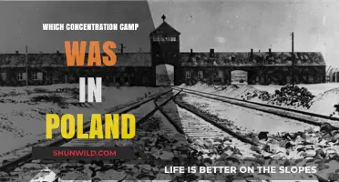 Poland's Concentration Camps: Uncovering the Dark History of Auschwitz