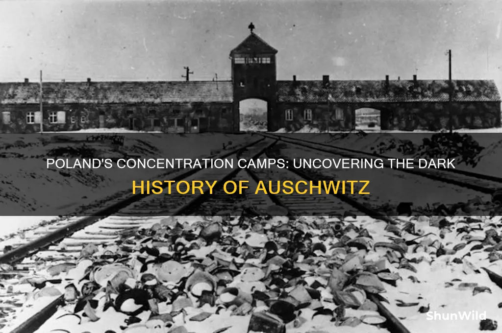 which concentration camp was in poland
