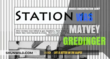Matvey Gredinger's Imprisonment: Uncovering His Concentration Camp Experience