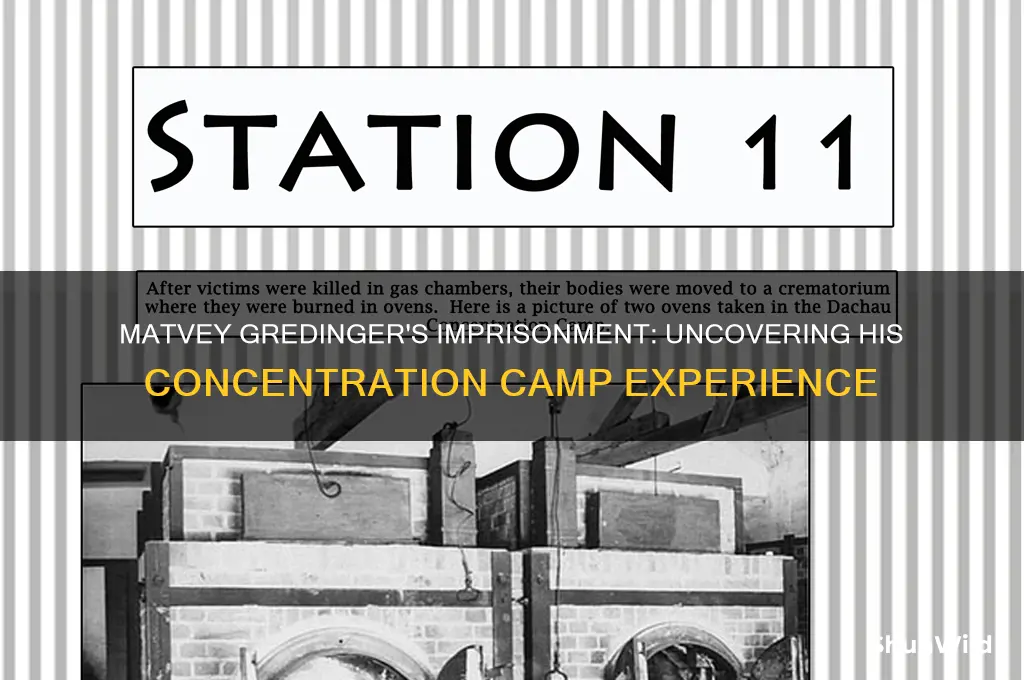 which concentration camp was matvey gredinger