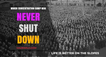 The Haunting Legacy of Buchenwald: A Camp That Never Closed