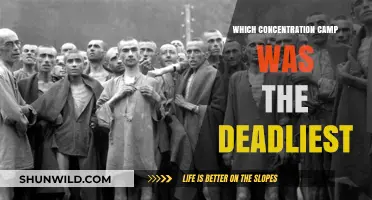 Unveiling the Deadliest Nazi Concentration Camp: A Historical Analysis