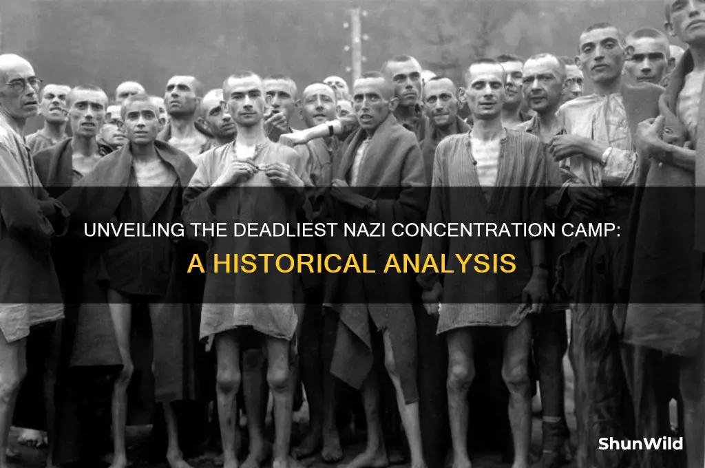 which concentration camp was the deadliest