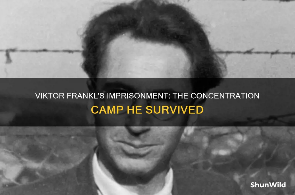 which concentration camp was viktor frankl in