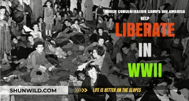 America's Role in Liberating WWII Concentration Camps: Key Sites