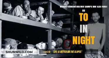 Elie Wiesel's First Concentration Camps in 'Night': A Journey