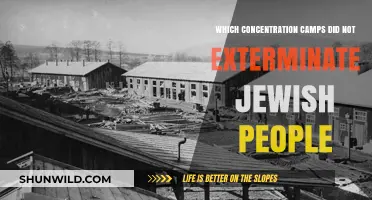 Non-Extermination Camps: Jewish Incarceration and Forced Labor Sites