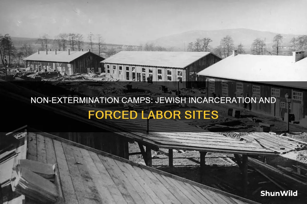 which concentration camps did not exterminate jewish people