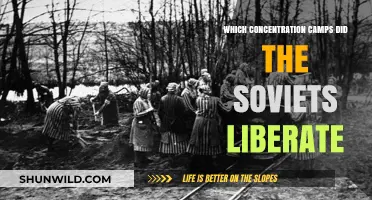 Soviet Liberation: Concentration Camps Freed by the Red Army