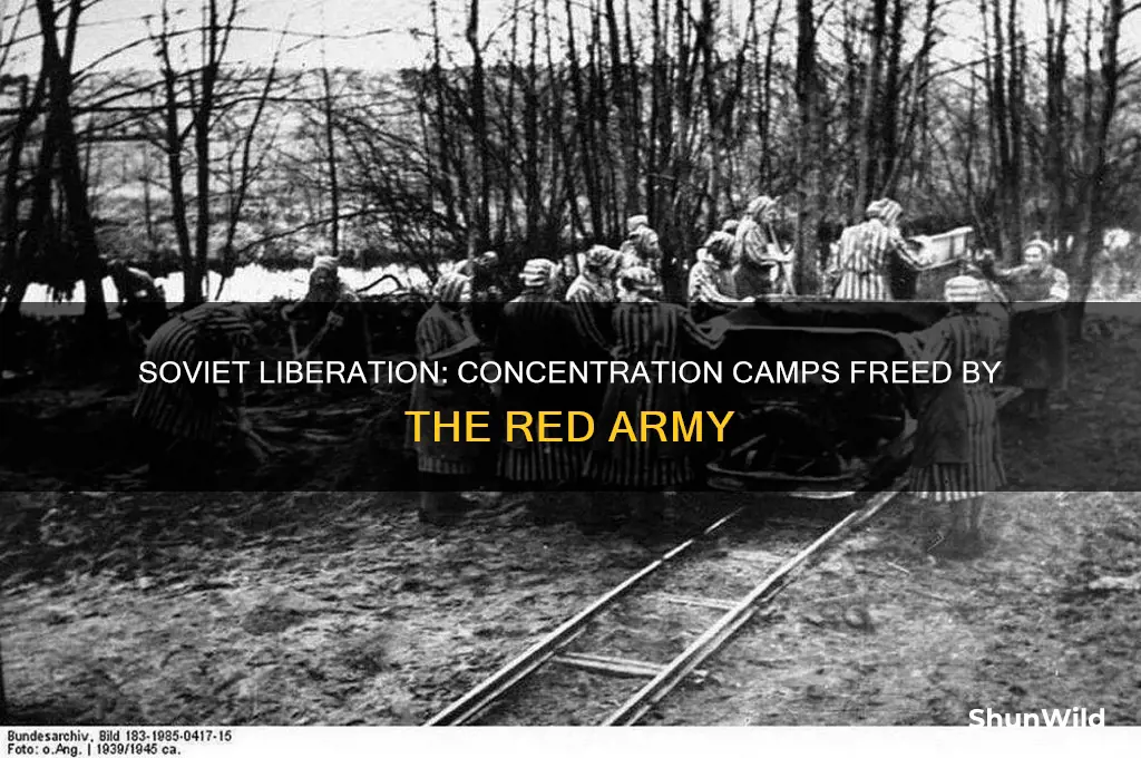 which concentration camps did the soviets liberate