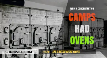 Concentration Camps with Crematorium Ovens: A Historical Overview