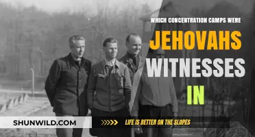 Jehovah's Witnesses' Imprisonment: Concentration Camps During Nazi Persecution