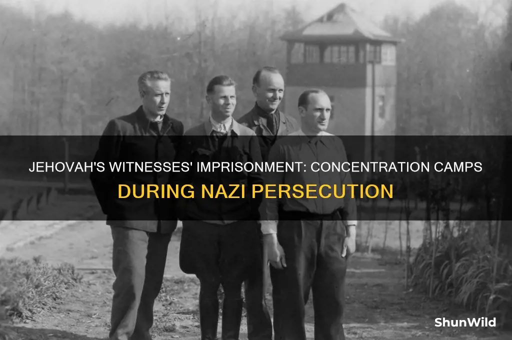 which concentration camps were jehovahs witnesses in