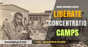 Liberation of Concentration Camps: Allied Nations' Role and Impact