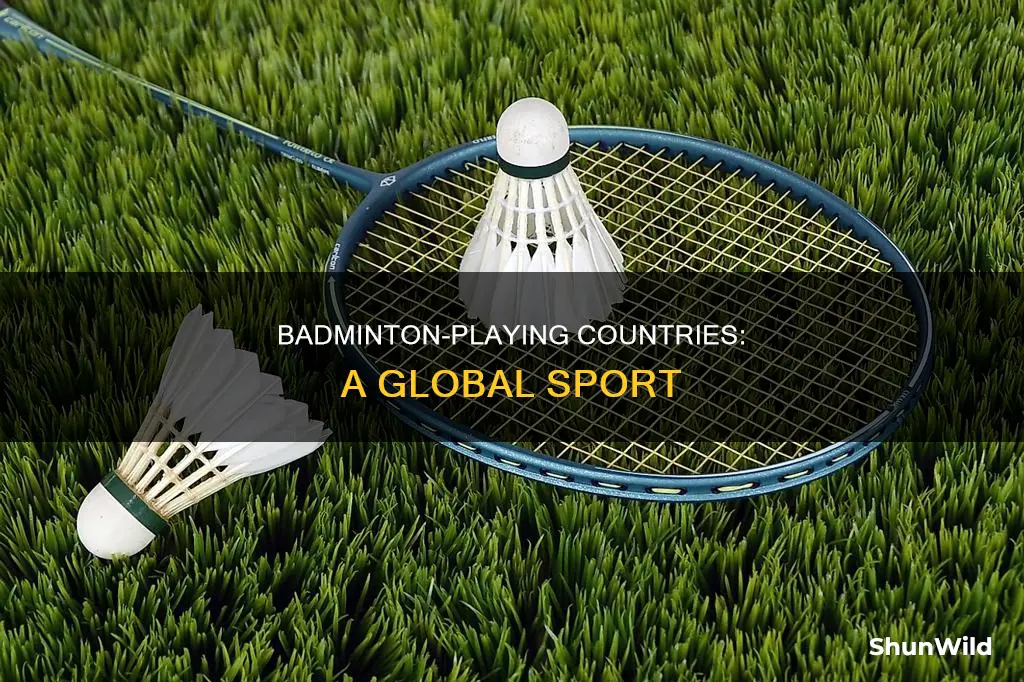 which countries play badminton