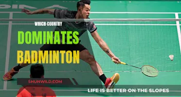 Badminton's Reigning Country: Who's the Top Shuttlecock Smasher?