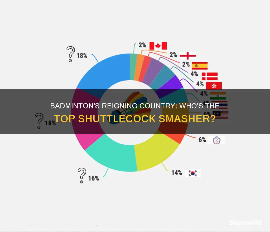 which country dominates badminton