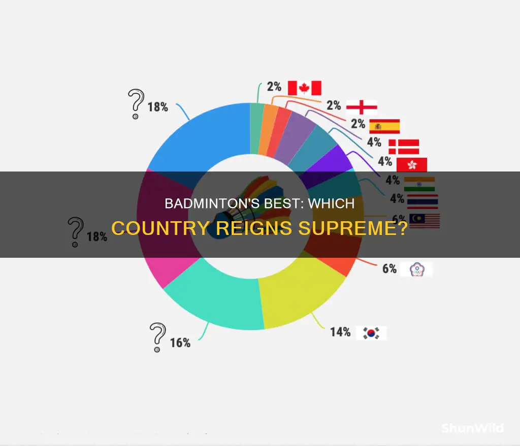 which country has the best badminton players