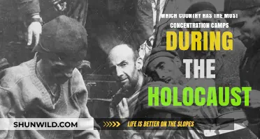 Holocaust Concentration Camps: Which Country Held the Most During WWII?